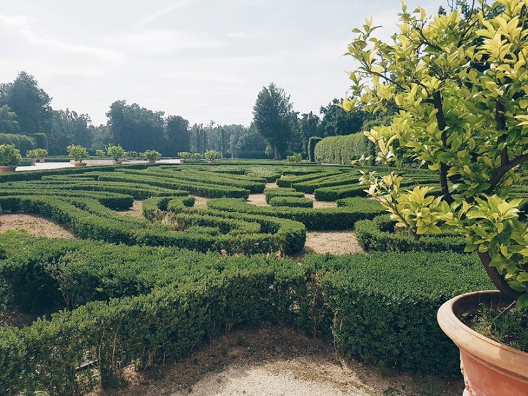 labirinto_alma_parma