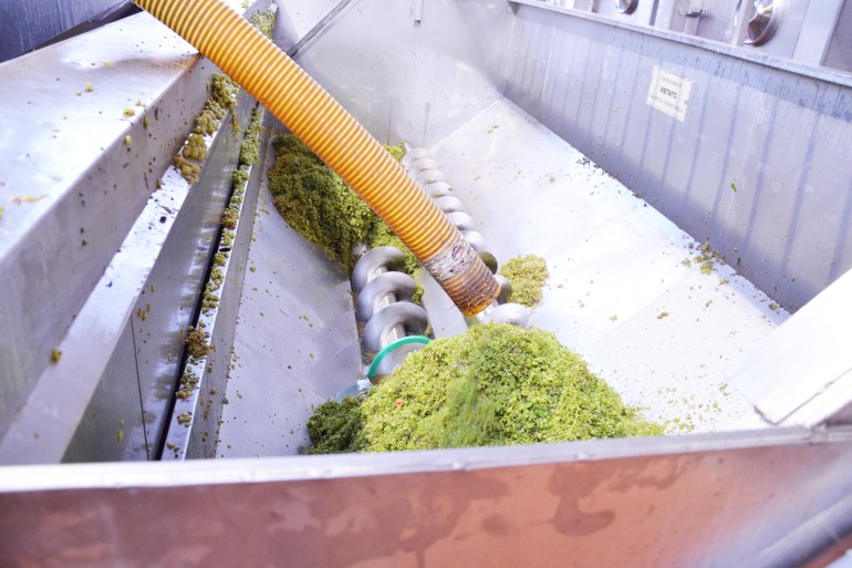 prosecco-ruggeri-styleshouts-uva-processo-produttivo-imbottigliamento-produzione