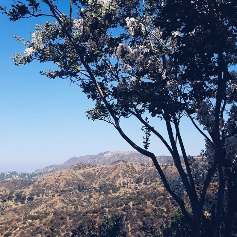 scritta-hollywood-come-fotografarla
