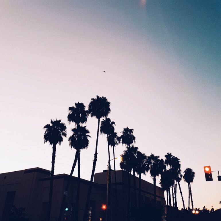 west-hollywood-palms